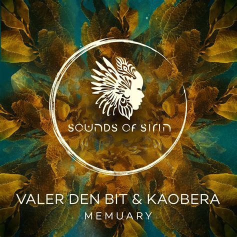 Valer den Bit Music & Downloads on Beatport.